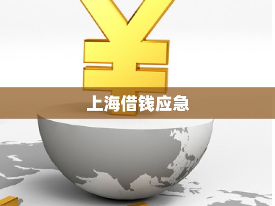 上海借錢應(yīng)急 上海借錢應(yīng)急