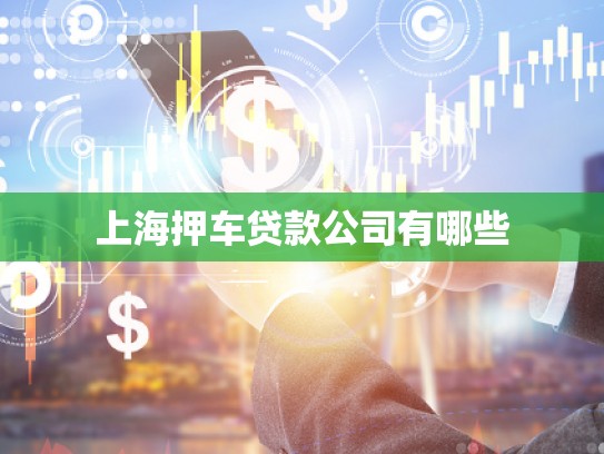 上海押車貸款公司有哪些