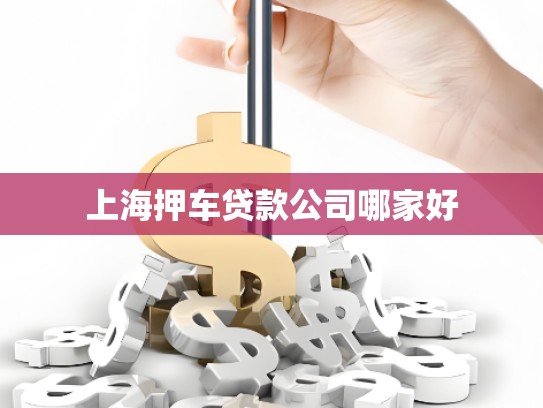 上海押車貸款公司哪家好 上海押車貸款公司哪家好