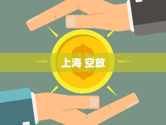 上海 空放 上海 空放