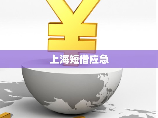 上海短借應(yīng)急