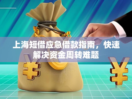 上海短借應(yīng)急借款指南，快速解決資金周轉(zhuǎn)難題