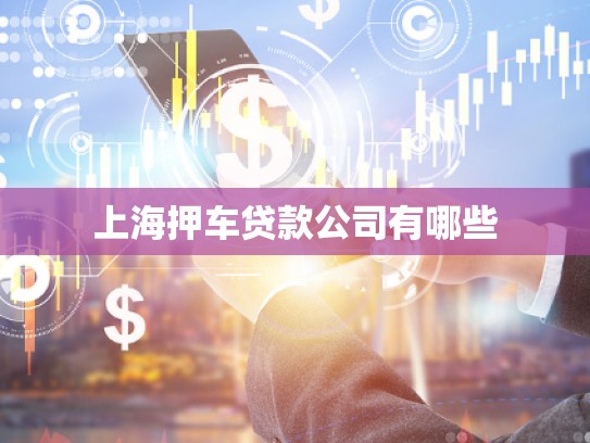 上海押車貸款公司有哪些 上海押車貸款公司有哪些