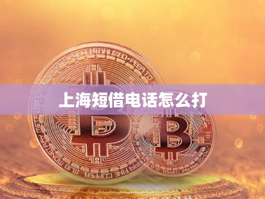 上海短借電話怎么打 上海短借電話怎么打