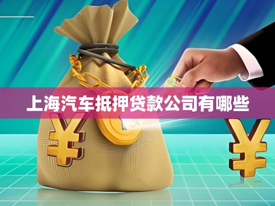 上海汽車抵押貸款公司有哪些 上海汽車抵押貸款公司有哪些