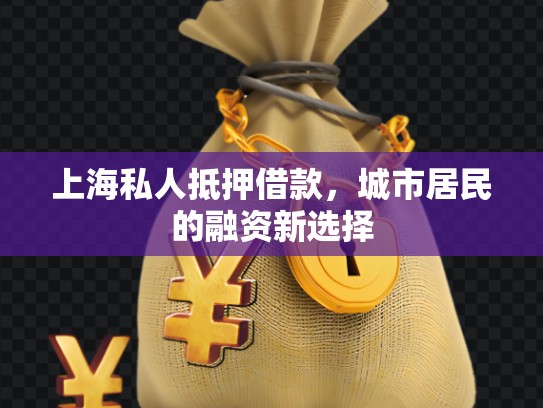 上海私人借款平臺不看征信沒有公積金 上海私人借款平臺不看征信沒有公積金