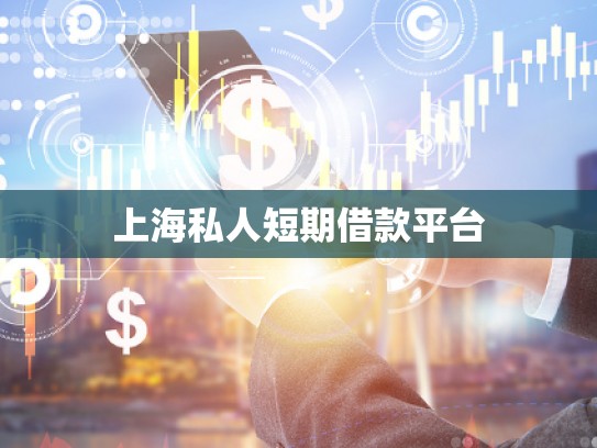 上海大額私人借款 上海大額私人借款