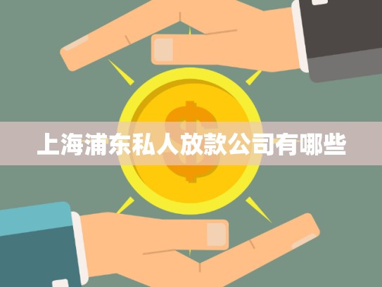 上海浦東私人放款公司有哪些 上海浦東私人放款公司有哪些