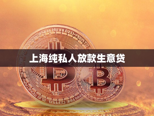 上海純私人放款生意貸 上海純私人放款生意貸