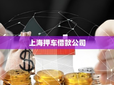上海押車借款公司