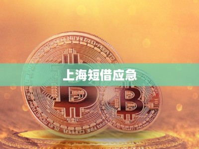 上海短借應急