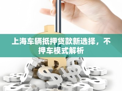 上海車(chē)輛抵押貸款新選擇，不押車(chē)模式解析