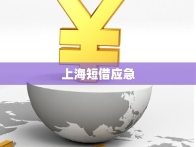 上海短借應(yīng)急