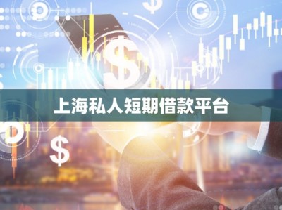 上海大額私人借款