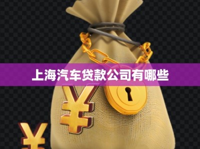 上海汽車(chē)貸款公司有哪些