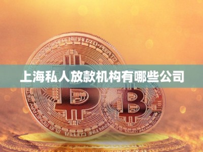 上海私人放款機(jī)構(gòu)有哪些公司