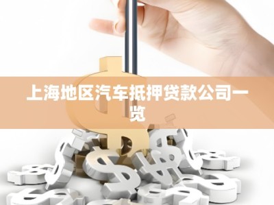 上海地區(qū)汽車(chē)抵押貸款公司一覽