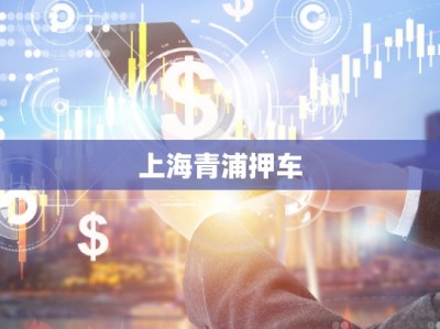 上海青浦押車