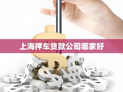 上海押車貸款公司哪家好
