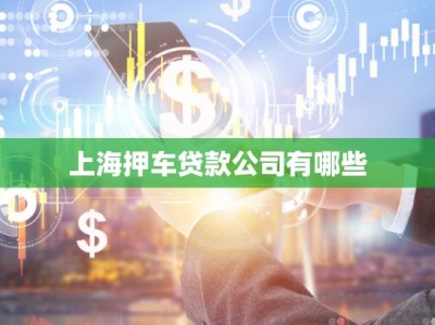 上海押車貸款公司有哪些